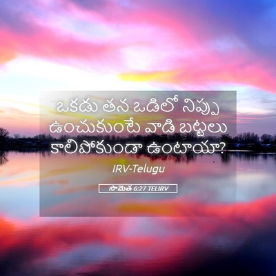 Picture 05 - సామెత 6:27 TELIRV - ఒకడు తన ఒడిలో - Bible Verse Picture