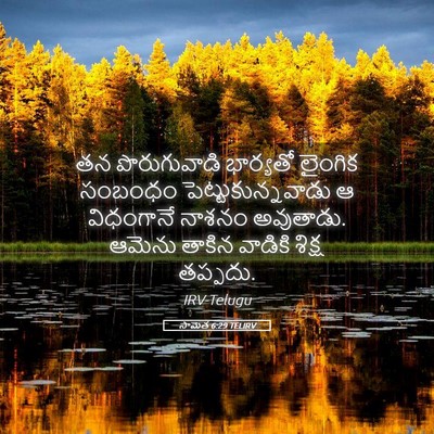 Picture 05 - సామెత 6:29 TELIRV - తన పొరుగువాడి - Bible Verse Picture