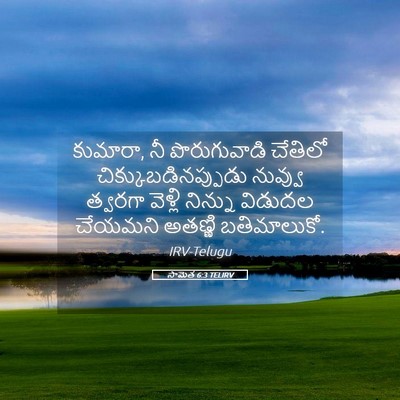 Picture 05 - సామెత 6:3 TELIRV - కుమారా, నీ - Bible Verse Picture
