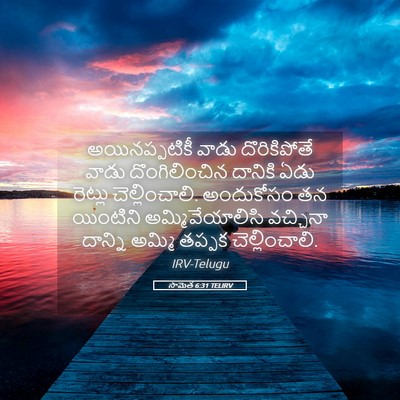Picture 05 - సామెత 6:31 TELIRV - అయినప్పటికీ వాడు - Bible Verse Picture