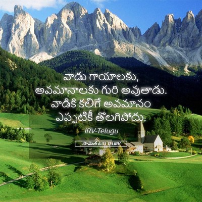Picture 05 - సామెత 6:33 TELIRV - వాడు గాయాలకు, - Bible Verse Picture