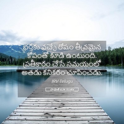 Picture 05 - సామెత 6:34 TELIRV - భర్తకు వచ్చే రోషం - Bible Verse Picture