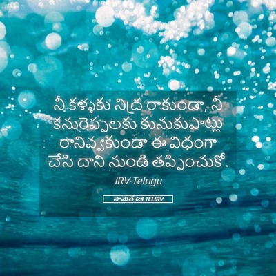 Picture 05 - సామెత 6:4 TELIRV - నీ కళ్ళకు నిద్ర - Bible Verse Picture