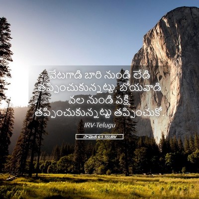 Picture 05 - సామెత 6:5 TELIRV - వేటగాడి బారి - Bible Verse Picture