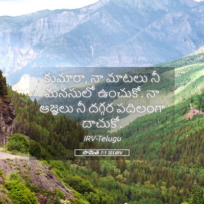Picture 05 - సామెత 7:1 TELIRV - కుమారా, నా మాటలు నీ - Bible Verse Picture