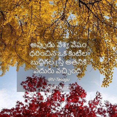 Picture 05 - సామెత 7:10 TELIRV - అప్పుడు వేశ్య - Bible Verse Picture