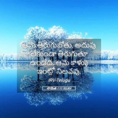 Picture 05 - సామెత 7:11 TELIRV - ఆమె తిరుగుబోతు. - Bible Verse Picture