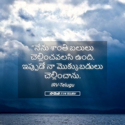 Picture 05 - సామెత 7:14 TELIRV - “నేను శాంతి బలులు - Bible Verse Picture