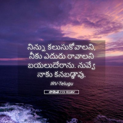 Picture 05 - సామెత 7:15 TELIRV - నిన్ను - Bible Verse Picture