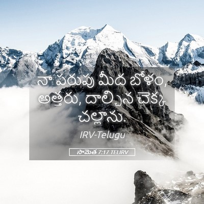 Picture 05 - సామెత 7:17 TELIRV - నా పరుపు మీద బోళం, - Bible Verse Picture