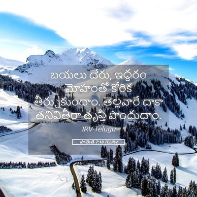 Picture 05 - సామెత 7:18 TELIRV - బయలు దేరు, ఇద్దరం - Bible Verse Picture