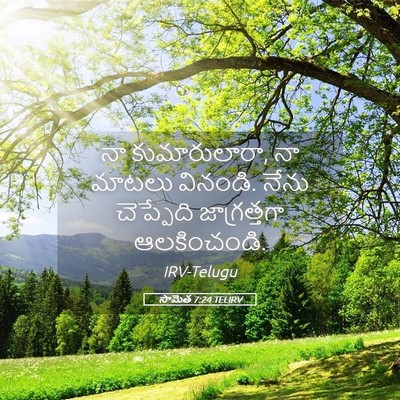 Picture 05 - సామెత 7:24 TELIRV - నా కుమారులారా, నా - Bible Verse Picture