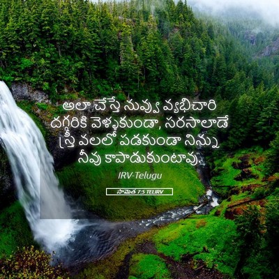 Picture 05 - సామెత 7:5 TELIRV - అలా చేస్తే నువ్వు - Bible Verse Picture