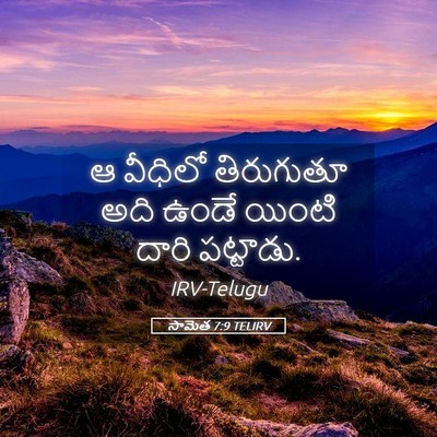 Picture 05 - సామెత 7:9 TELIRV - ఆ వీధిలో తిరుగుతూ - Bible Verse Picture