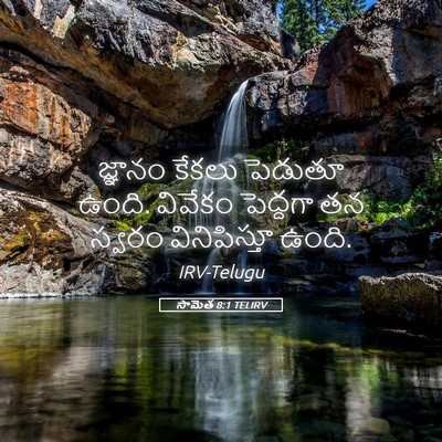 Picture 05 - సామెత 8:1 TELIRV - జ్ఞానం కేకలు - Bible Verse Picture