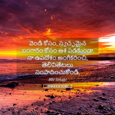 Picture 05 - సామెత 8:10 TELIRV - వెండి కోసం, - Bible Verse Picture