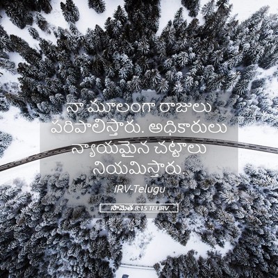 Picture 05 - సామెత 8:15 TELIRV - నా మూలంగా రాజులు - Bible Verse Picture