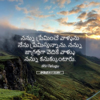 Picture 05 - సామెత 8:17 TELIRV - నన్ను ప్రేమించే - Bible Verse Picture