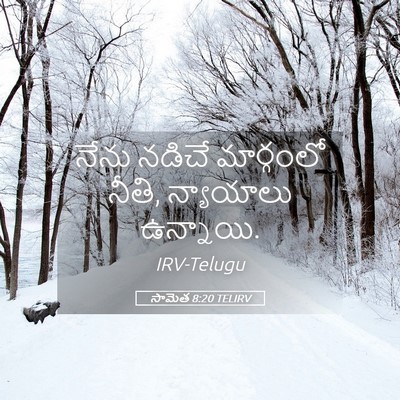 Picture 05 - సామెత 8:20 TELIRV - నేను నడిచే - Bible Verse Picture