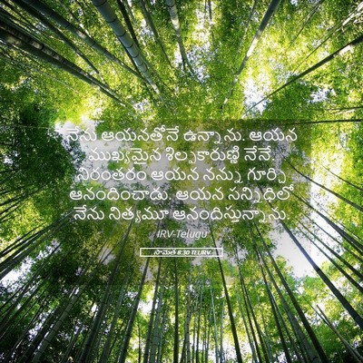 Picture 05 - సామెత 8:30 TELIRV - నేను ఆయనతోనే - Bible Verse Picture