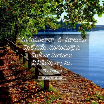 Picture 05 - సామెత 8:4 TELIRV - “మనుషులారా, ఈ - Bible Verse Picture