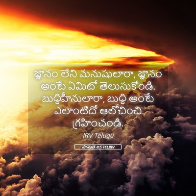 Picture 05 - సామెత 8:5 TELIRV - జ్ఞానం లేని - Bible Verse Picture