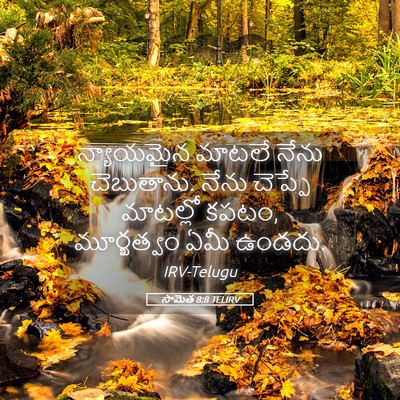 Picture 05 - సామెత 8:8 TELIRV - న్యాయమైన మాటలే - Bible Verse Picture
