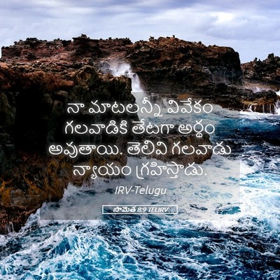 Picture 05 - సామెత 8:9 TELIRV - నా మాటలన్నీ - Bible Verse Picture