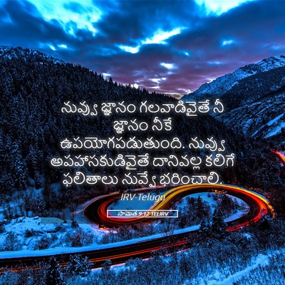 Picture 05 - సామెత 9:12 TELIRV - నువ్వు జ్ఞానం - Bible Verse Picture