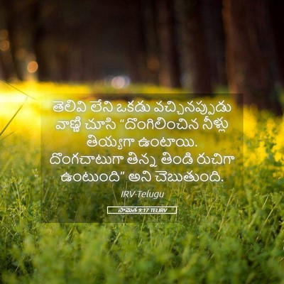 Picture 05 - సామెత 9:17 TELIRV - తెలివి లేని ఒకడు - Bible Verse Picture
