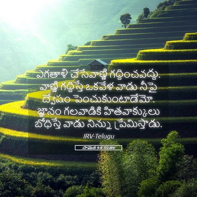 Picture 05 - సామెత 9:8 TELIRV - ఎగతాళి చేసేవాణ్ణి - Bible Verse Picture
