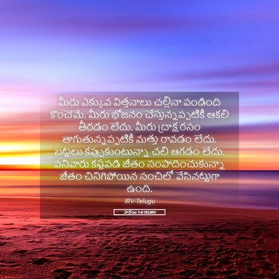 Picture 05 - హగ్గయి 1:6 TELIRV - మీరు ఎక్కువ - Bible Verse Picture