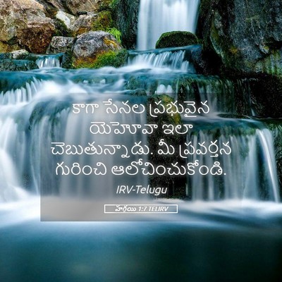 Picture 05 - హగ్గయి 1:7 TELIRV - కాగా సేనల - Bible Verse Picture