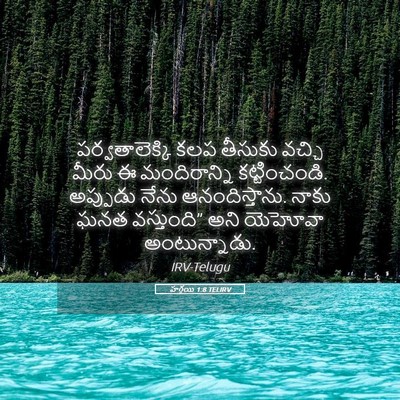 Picture 05 - హగ్గయి 1:8 TELIRV - పర్వతాలెక్కి కలప - Bible Verse Picture