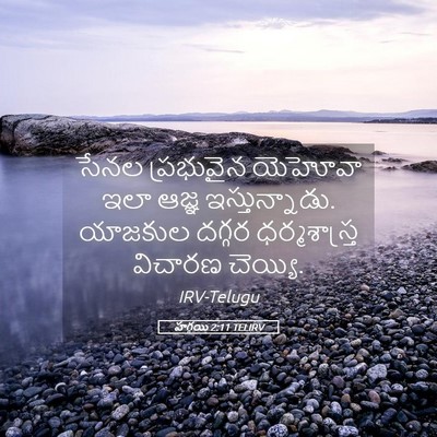 Picture 05 - హగ్గయి 2:11 TELIRV - సేనల ప్రభువైన - Bible Verse Picture