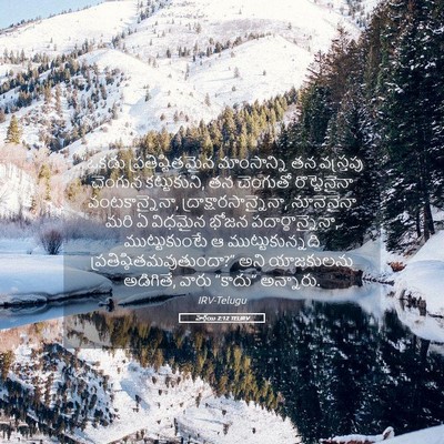 Picture 05 - హగ్గయి 2:12 TELIRV - “ఒకడు - Bible Verse Picture