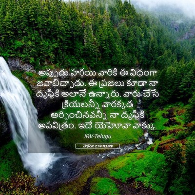 Picture 05 - హగ్గయి 2:14 TELIRV - అప్పుడు హగ్గయి - Bible Verse Picture