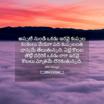Picture 05 - హగ్గయి 2:16 TELIRV - అప్పటి నుండి ఒకడు - Bible Verse Picture