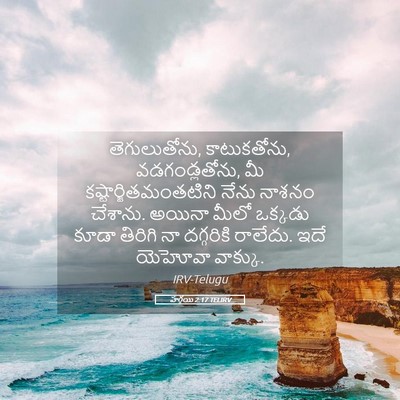 Picture 05 - హగ్గయి 2:17 TELIRV - తెగులుతోను, - Bible Verse Picture