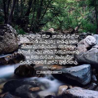 Picture 05 - హబక్కూకు 1:12 TELIRV - యెహోవా నా దేవా, నా - Bible Verse Picture