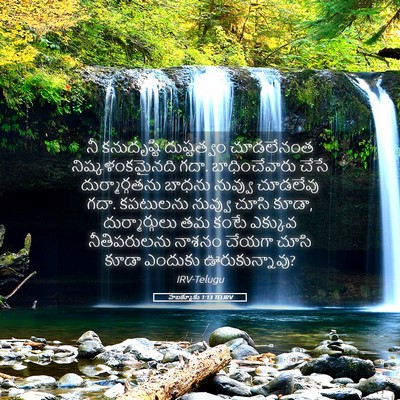 Picture 05 - హబక్కూకు 1:13 TELIRV - నీ కనుదృష్టి - Bible Verse Picture