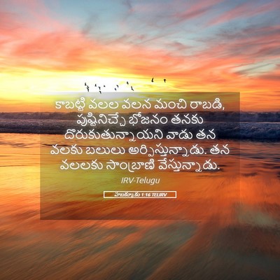 Picture 05 - హబక్కూకు 1:16 TELIRV - కాబట్టి వలల వలన - Bible Verse Picture