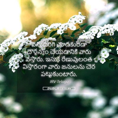 Picture 05 - హబక్కూకు 1:9 TELIRV - వెనుదిరిగి - Bible Verse Picture