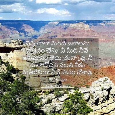 Picture 05 - హబక్కూకు 2:10 TELIRV - నీవు చాలా మంది - Bible Verse Picture
