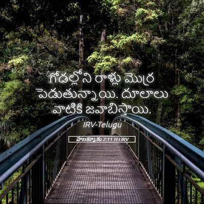 Picture 05 - హబక్కూకు 2:11 TELIRV - గోడల్లోని రాళ్లు - Bible Verse Picture