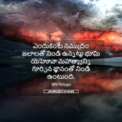 Picture 05 - హబక్కూకు 2:14 TELIRV - ఎందుకంటే సముద్రం - Bible Verse Picture