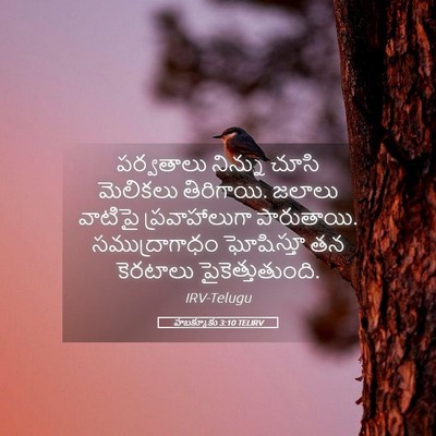 Picture 05 - హబక్కూకు 3:10 TELIRV - పర్వతాలు నిన్ను - Bible Verse Picture