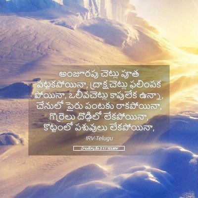 Picture 05 - హబక్కూకు 3:17 TELIRV - అంజూరపు చెట్లు - Bible Verse Picture