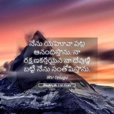Picture 05 - హబక్కూకు 3:18 TELIRV - నేను యెహోవా పట్ల - Bible Verse Picture