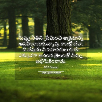 Picture 05 - హెబ్రీ పత్రిక 1:9 TELIRV - నువ్వు నీతిని - Bible Verse Picture